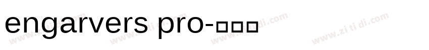 engarvers pro字体转换